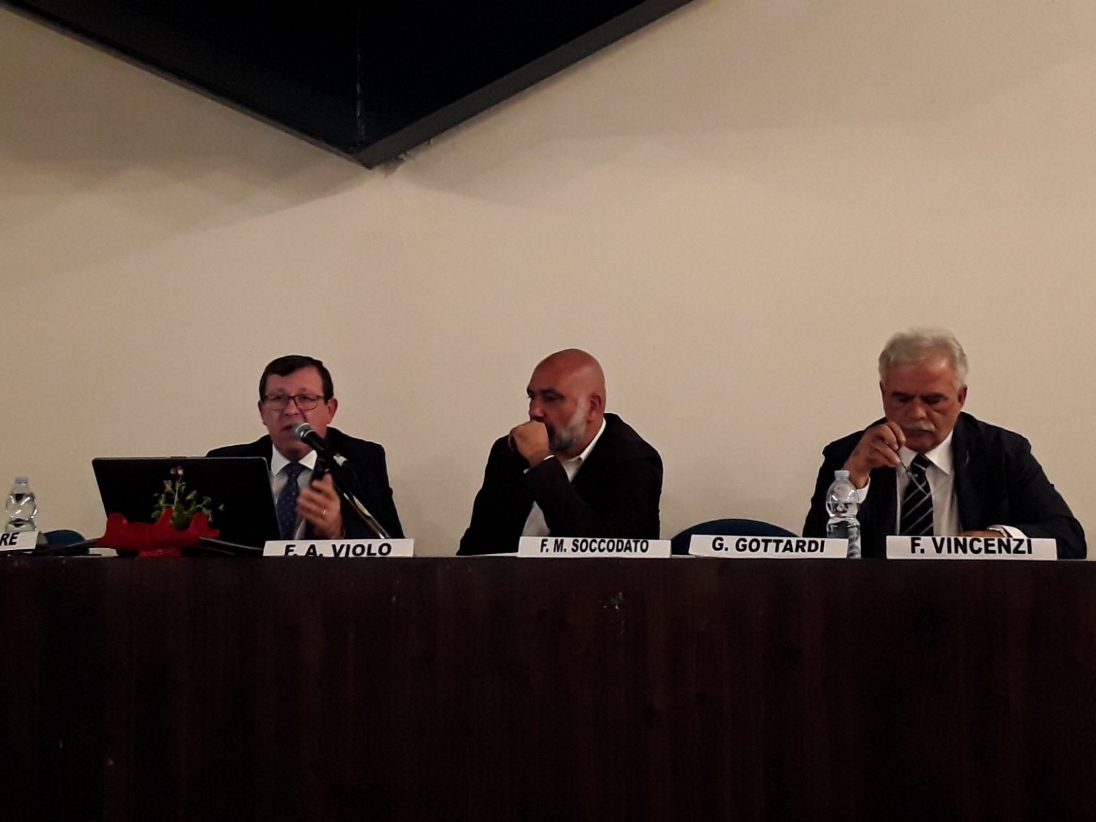 Immagine di copertina della galleria fotografica